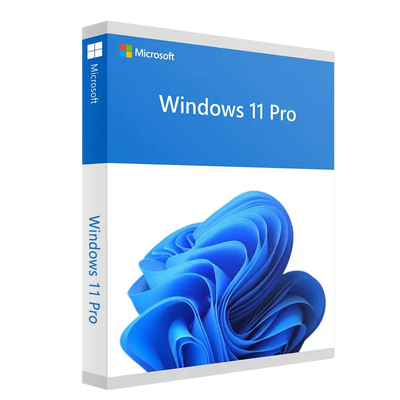 Windows 11 Professional